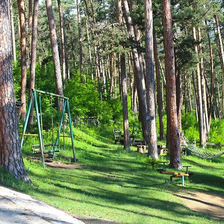 Отель Гостевой дом На Месхети Боржоми Экстерьер фото